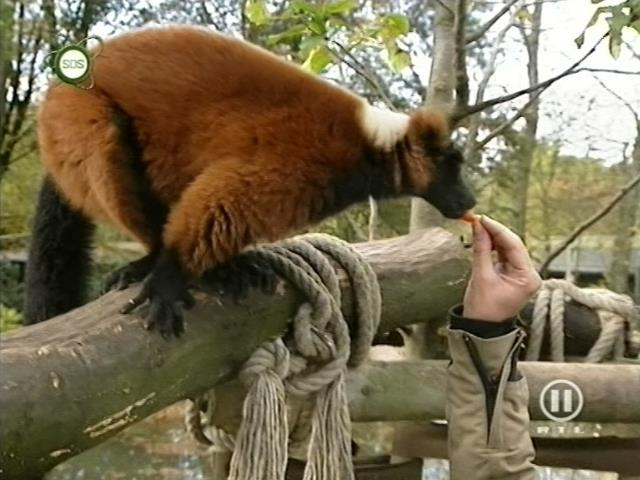 tiere_schaudichschlau_080323_028.jpg