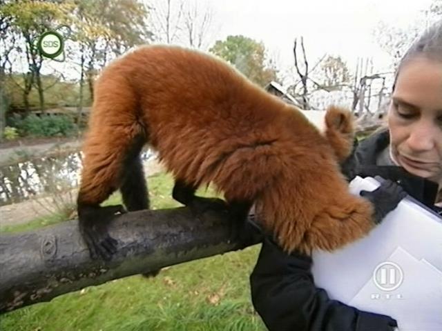 tiere_schaudichschlau_080323_033.jpg