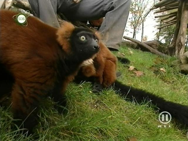 tiere_schaudichschlau_080323_037.jpg