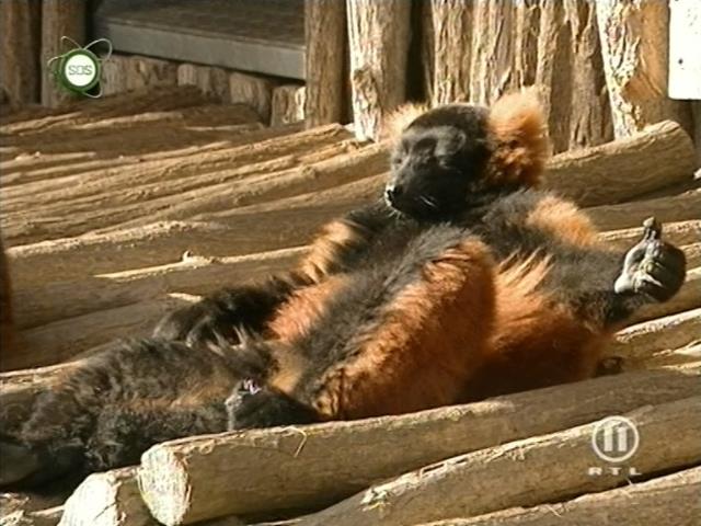 tiere_schaudichschlau_080323_040.jpg