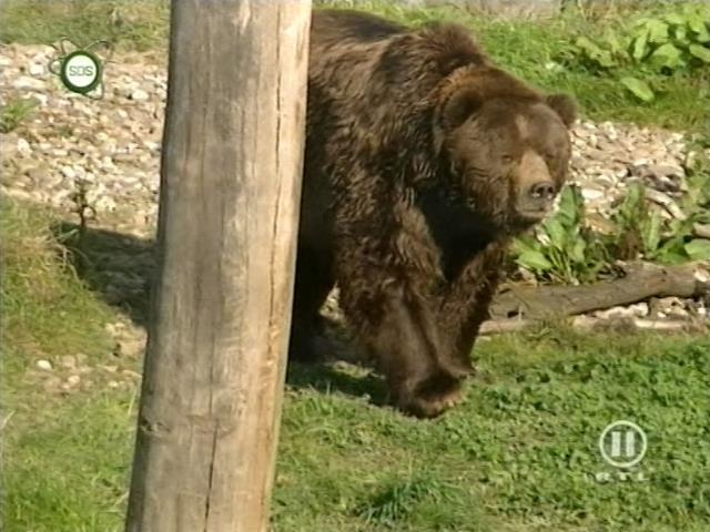 tiere_schaudichschlau_080323_050.jpg
