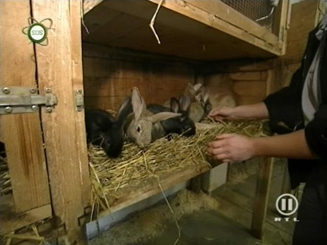 tiere_schaudichschlau_080323_053.jpg