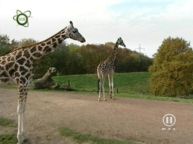 tiere_schaudichschlau_080323_060.jpg