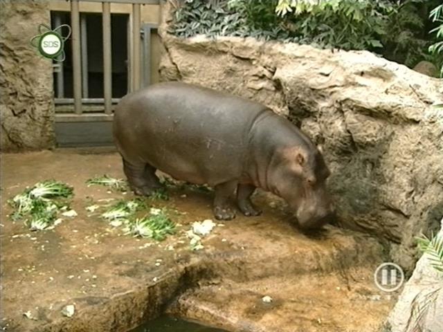 tiere_schaudichschlau_080323_061.jpg