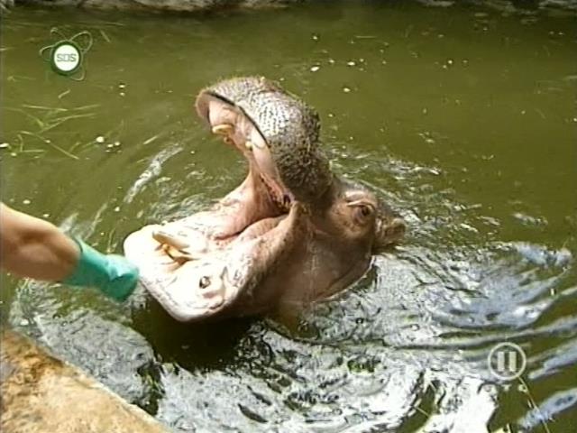 tiere_schaudichschlau_080323_062.jpg