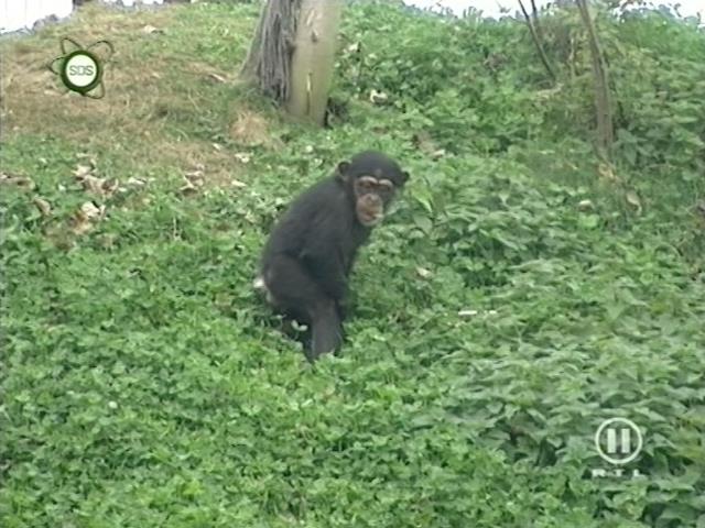 tiere_schaudichschlau_080323_066.jpg