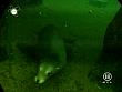 tiere_schaudichschlau_080323_018.jpg