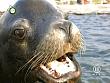 tiere_schaudichschlau_080323_022.jpg