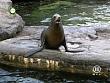 tiere_schaudichschlau_080323_023.jpg