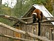 tiere_schaudichschlau_080323_027.jpg