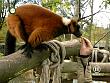 tiere_schaudichschlau_080323_028.jpg
