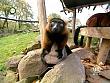 tiere_schaudichschlau_080323_029.jpg