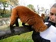 tiere_schaudichschlau_080323_033.jpg