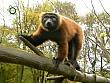 tiere_schaudichschlau_080323_034.jpg