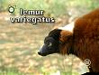 tiere_schaudichschlau_080323_035.jpg