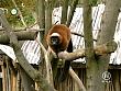 tiere_schaudichschlau_080323_036.jpg