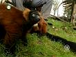 tiere_schaudichschlau_080323_037.jpg
