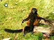 tiere_schaudichschlau_080323_042.jpg