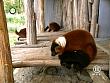 tiere_schaudichschlau_080323_045.jpg