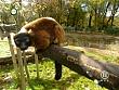 tiere_schaudichschlau_080323_047.jpg