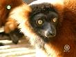 tiere_schaudichschlau_080323_049.jpg