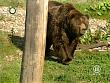 tiere_schaudichschlau_080323_050.jpg