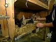 tiere_schaudichschlau_080323_053.jpg