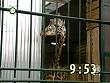 tiere_schaudichschlau_080323_055.jpg