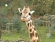 tiere_schaudichschlau_080323_059.jpg