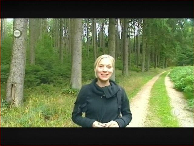 jw_schaudichschlau_091115_054.jpg