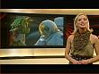 jw_skymagazin_091203_028.jpg