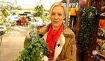 jw_schaudichschlau_100411_031.jpg