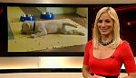 jw_skymagazin_101112_023.jpg