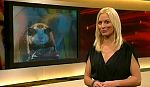 jw_skymagazin_101115_030.jpg